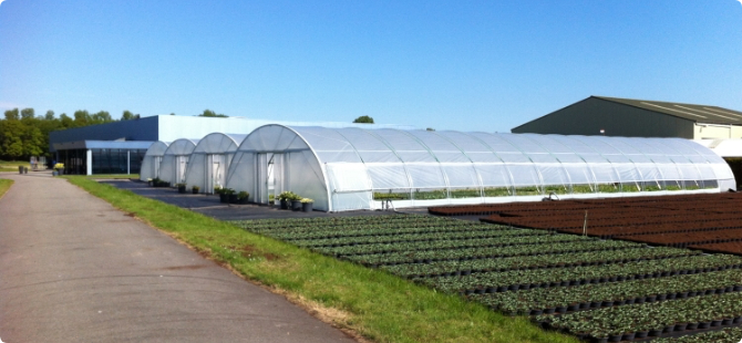 50 variëteiten hosta’s en pioenen