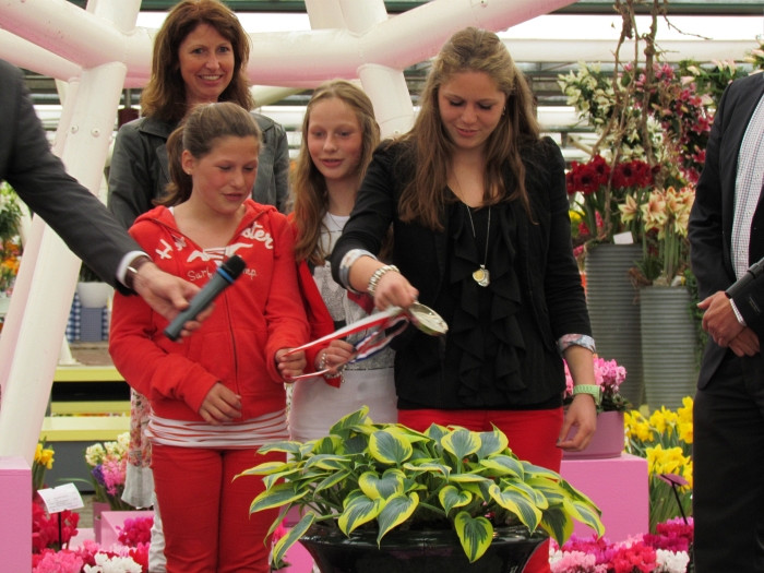 Keukenhof 2012