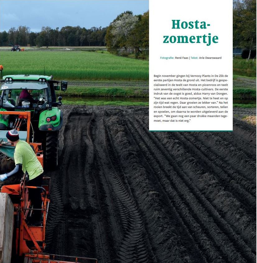 Artikel Greenity 106, November 2021